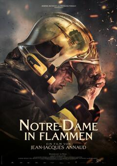 Notre-Dame in Flammen